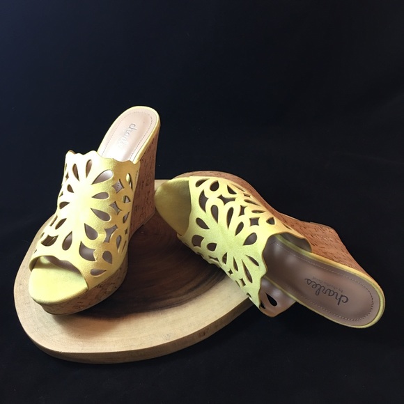 Charles David Shoes - ⬇️Charles by Charles David Platform Wedge Sandal